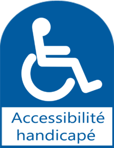Icone-accessibilite-handicape-231x300